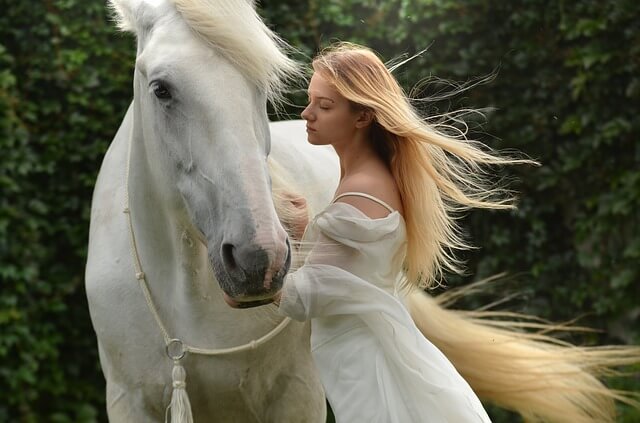 女性と馬の写真