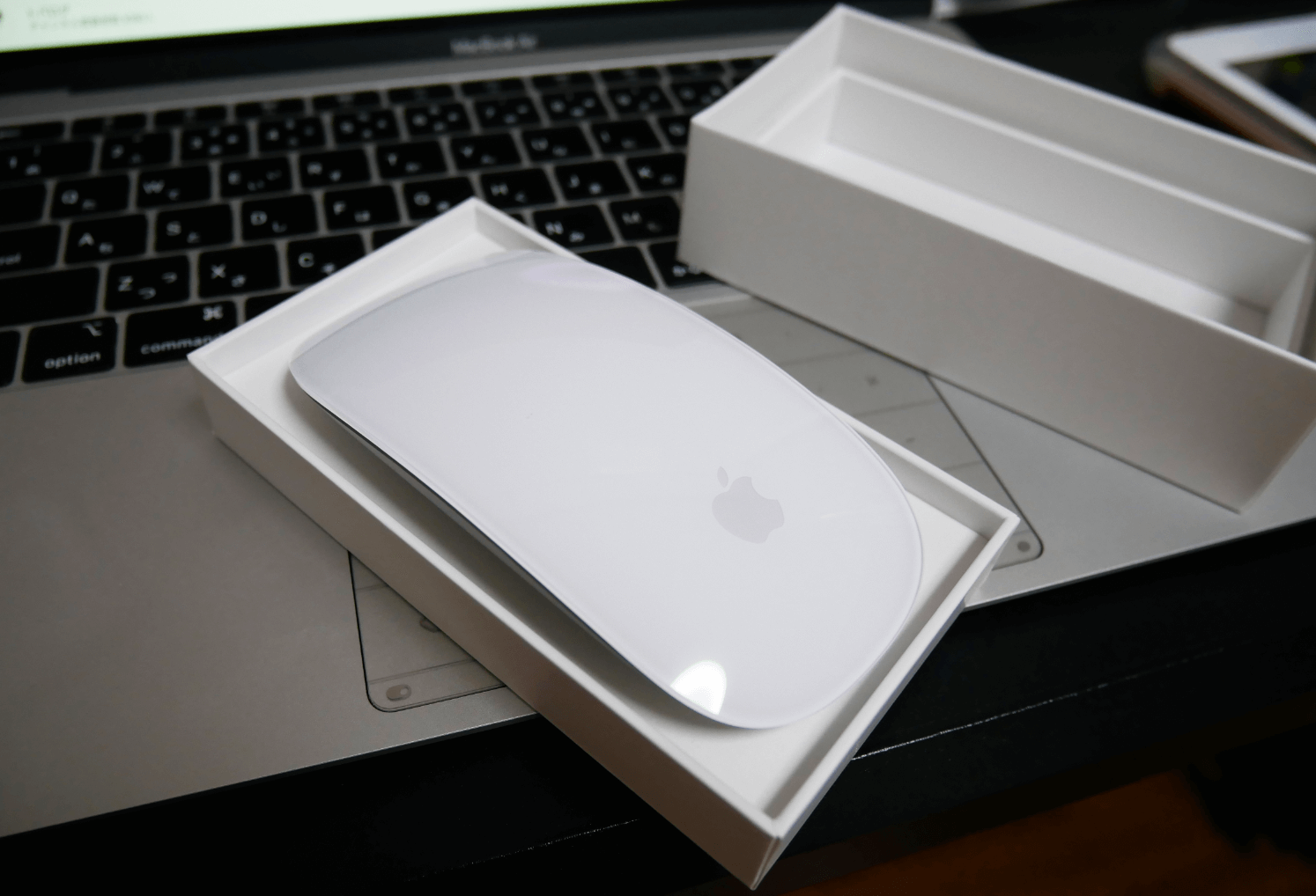 Apple Magic Mouse 2 アップル純正のマウスケース入り