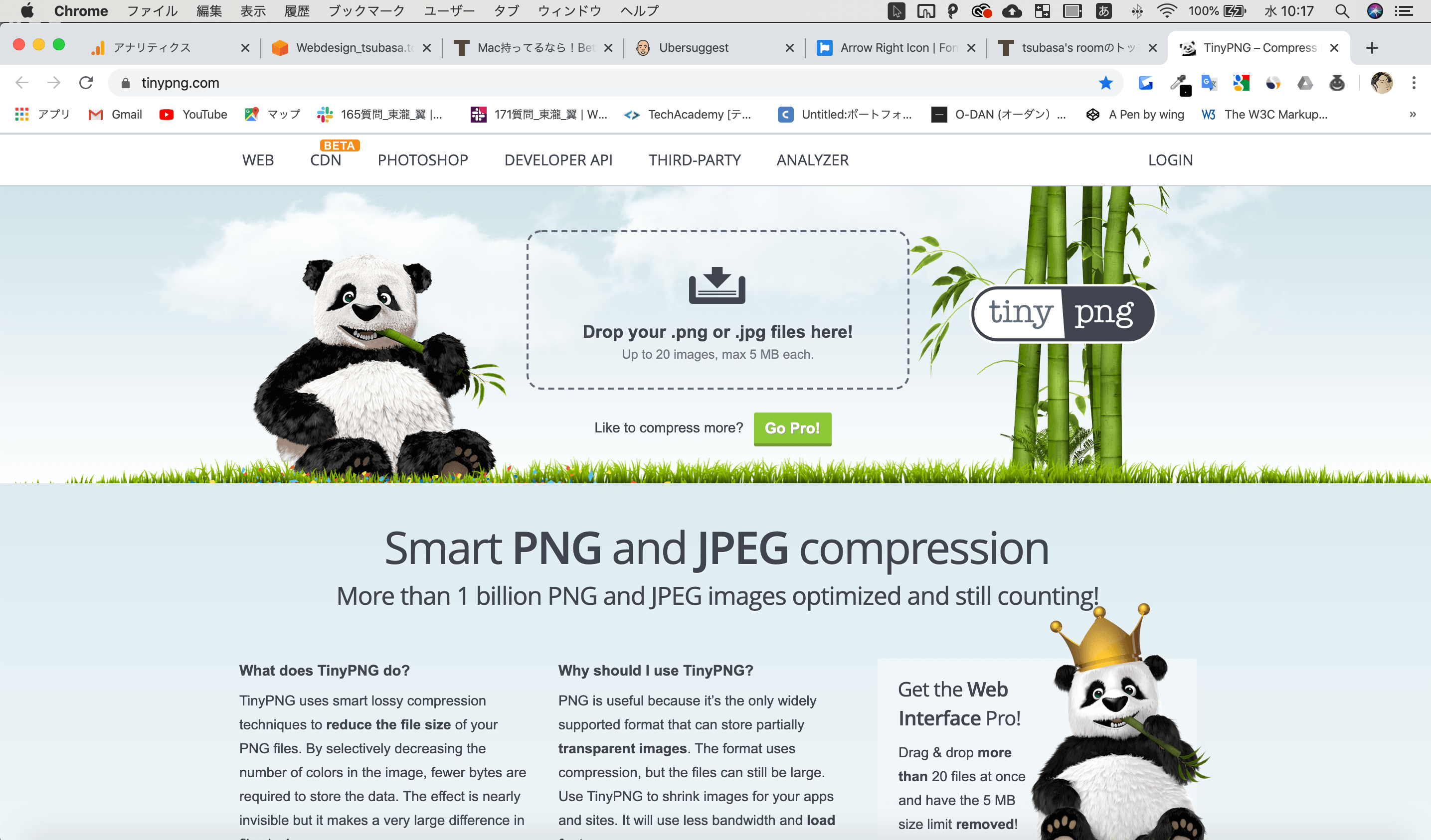 パンダのウェブサイト